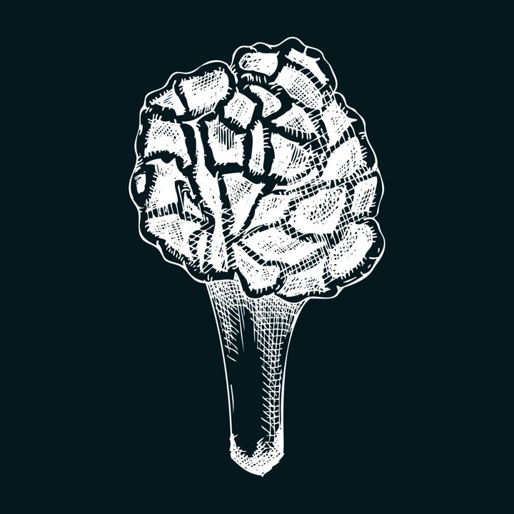 False morel mushroom sketch. Hand-drawn deadly poisonous fungus illustration. Forest mushroom drawing on chalkboard. Poisonous plants design element